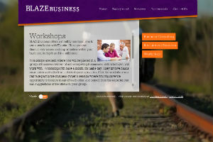 Professional Websites