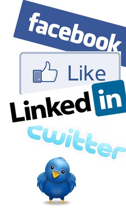 social networking for business